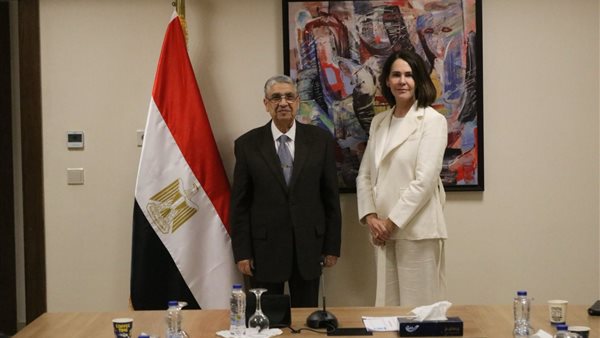 وزير الكهرباء