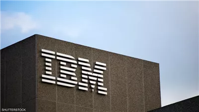 مدير IBM في الشرق الأوسط: ملتزمون بدعم رؤية مصر 2030 بالتعاون مع الحكومة وشركات القطاع الخاص