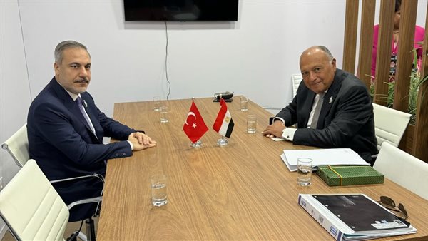 وزير الخارجية يلتقي