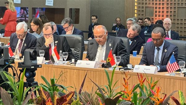 الوزير سامح شكري