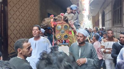 زفة وطبل بلدي.. أهالي سوهاج يحتفلون بمولد الشيخ أبو عمران على طريقتهم الخاصة| صور