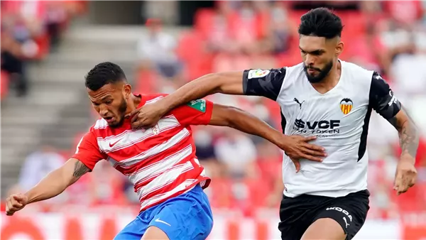 فالنسيا وغرناطة -