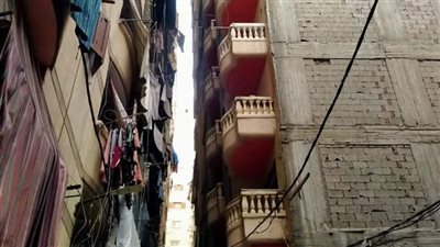 تواصل عملية إزالة عقاري الفلكي بالإسكندرية لليوم الخامس على التوالي