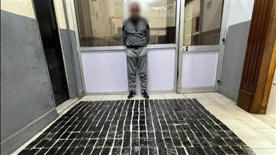 بحوزته 300 طربة حشيش.. القبض على عنصر إجرامي بالمنوفية 