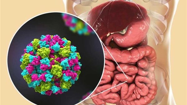 فيروس النوروفيروس