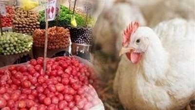 الثوم بـ 35 والفراخ البيضاء بـ 107 جنيهات.. أسعار الخضراوات والدواجن في الأسواق اليوم | بث مباشر