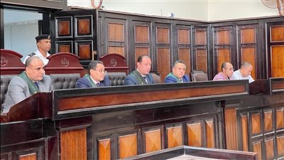 المشدد 7 سنوات لميكانيكي أنهى حياة شخص في مشاجرة بأسيوط 