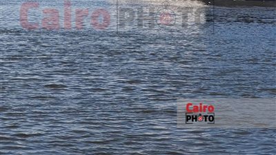 ننشر الصور الأولى لجنوح باخرة سياحية بنهر النيل تقل 34 سائحا أجنبيا بالمنيا | صور 