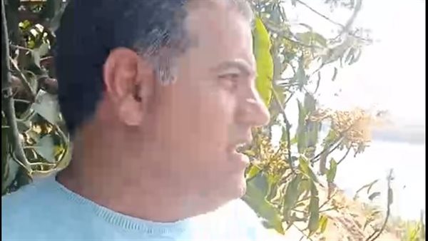 شاهد على حادث معدية