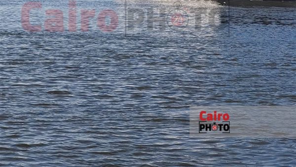 جنوح باخرة سياحية