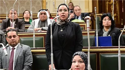 ابنة النائبة أمنية رجب.. كيف دخلت رنا رؤوف إلى البرلمان خلفًا لوالدتها؟