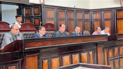 بسبب خصومة ثأرية.. المشدد 15 عاما لفلاح أنهى حياة شخص بأسيوط