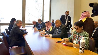 بمشاركة مصر.. اللجنة العربية الإسلامية تؤكد لجوتيريش ضرورة وقف عدوان إسرائيل على غزة 