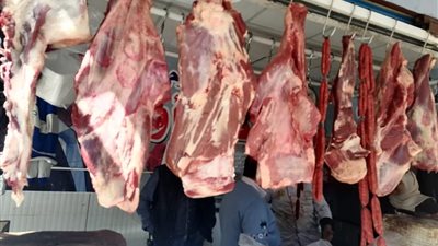 ضبط لحوم فاسدة بمنافذ المواطن أولا بمصر القديمة