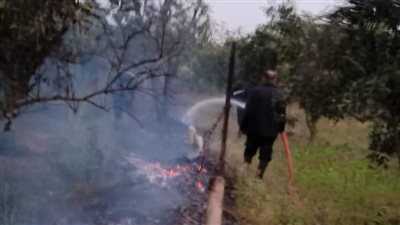 السيطرة على حريق مزرعة برتقال في المنوفية