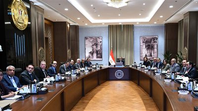 4 مليارات دولار.. الحكومة تدرس مقترحا لشركة إيطالية لإنشاء مجمع صناعي متكامل لمنتجات الحديد والصلب المتطورة