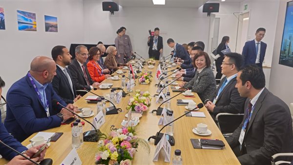 لقاء وزير الاتصالات