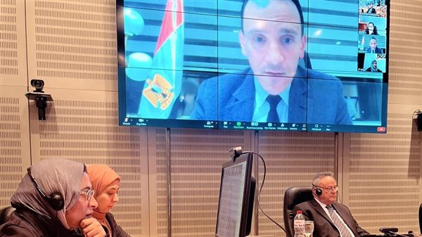 ندوة عبر الإنترنت