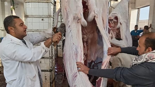 حملات تفتيشية بالمنيا