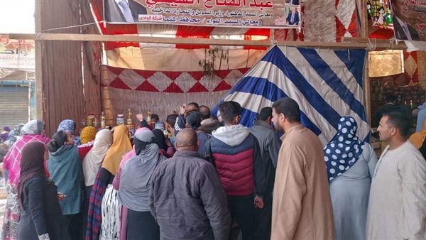 حملات تفتيشية بالمنيا