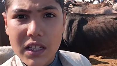 أصغر تاجر مواشي بسوق كفر الشيخ: فيه انخفاض كبير في الأسعار | بث مباشر 