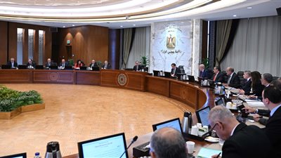 رئيس الوزراء يوجه بالإعلان عن مجموعة من الحوافز غير المسبوقة لعدد من الشركات