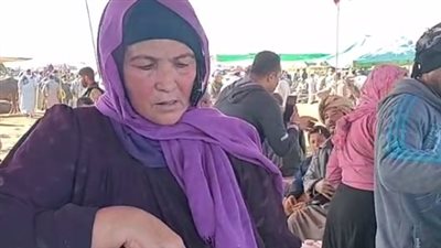 تمساحة أشهر سيدة بسوق المواشي بكفر الشيخ: ربيت ولادي من بيع السندوتشات| بث مباشر