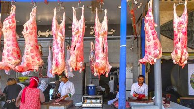 انخفاض أسعار اللحوم.. وكيلو البتلو بـ280 جنيها