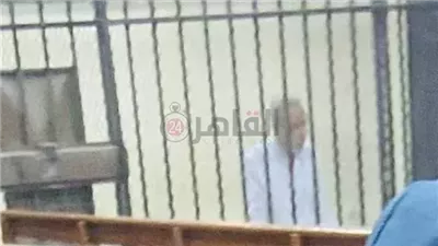 إحالة أوراق طبيب روض الفرج للمفتي في جلسة الاستئناف على حكم إعدامه.. و15 يناير النطق بالحكم