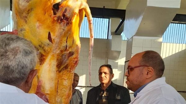 الطب البيطري بالمنيا