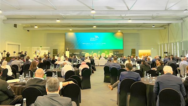 قمة العرب للطيران