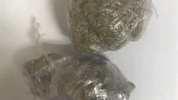 ضبط المخدرات