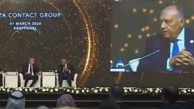 وزير الخارجية: وصلنا لـ 200 شاحنة مساعدات يوميا إلى غزة.. ويجب وقف الهجمات الإسرائيلية