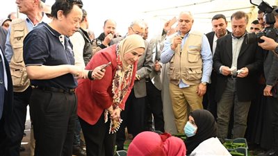 التضامن تعلن تخصيص 10 ملايين جنيه لدعم المشروعات متناهية الصغر لأهالي المنيا| صور 