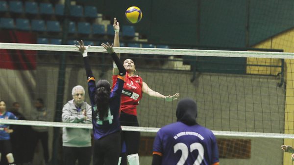 دوري سيدات الكرة