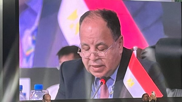 وزير المالية