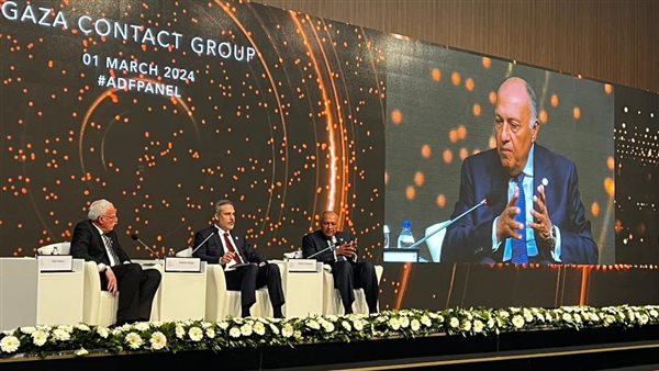 وزير الخارجية يشارك