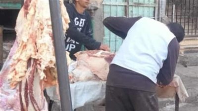 تموين المنيا: ضبط 260 مخالفة متنوعة خلال حملات على المخابز البلدية والأسواق