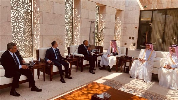 وزير الخارجية ونظيره