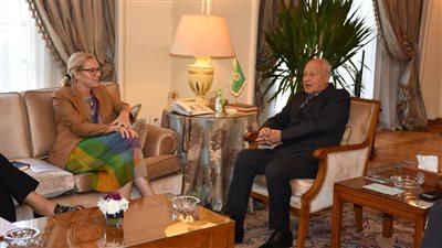 أبو الغيط خلال لقاء وكيل الأمين العام للأمم المتحدة: عودة السلطة الفلسطينية للقطاع ضرورة مُلحة لإعادة الإعمار