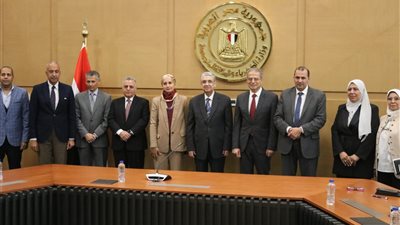 الكهرباء تطلق منصة مصر للطاقة الشمسية لزيادة التوسع في الخلايا الشمسية 