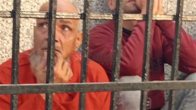 الحكم بإعدام المتهم بقتل وسرقة بائعة الخضار في الفيوم