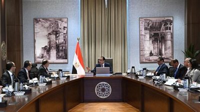 متحدث الحكومة: 77 مليون دولار قيمة البضائع المفرج عنها اليوم بالموانئ 