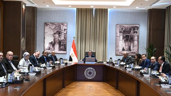 الحكومة المصرية 