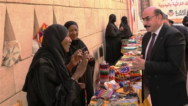 محافظ أسوان