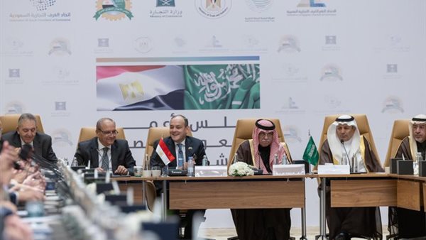 مجلس الأعمال المصري