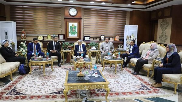 محافظ المنيا