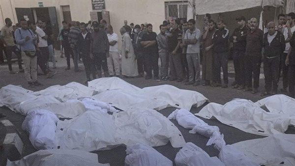 جثامين شهداء في غزة