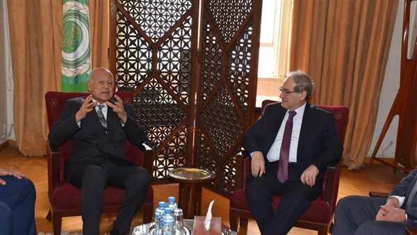 أبوالغيط ووزير خارجية