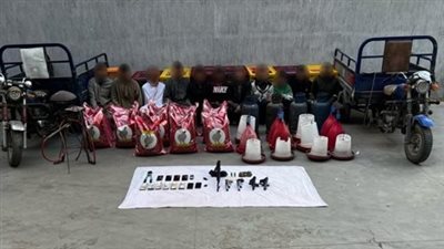 القبض على 19 متهما في حملات أمنية بالدقهلية والإسكندرية